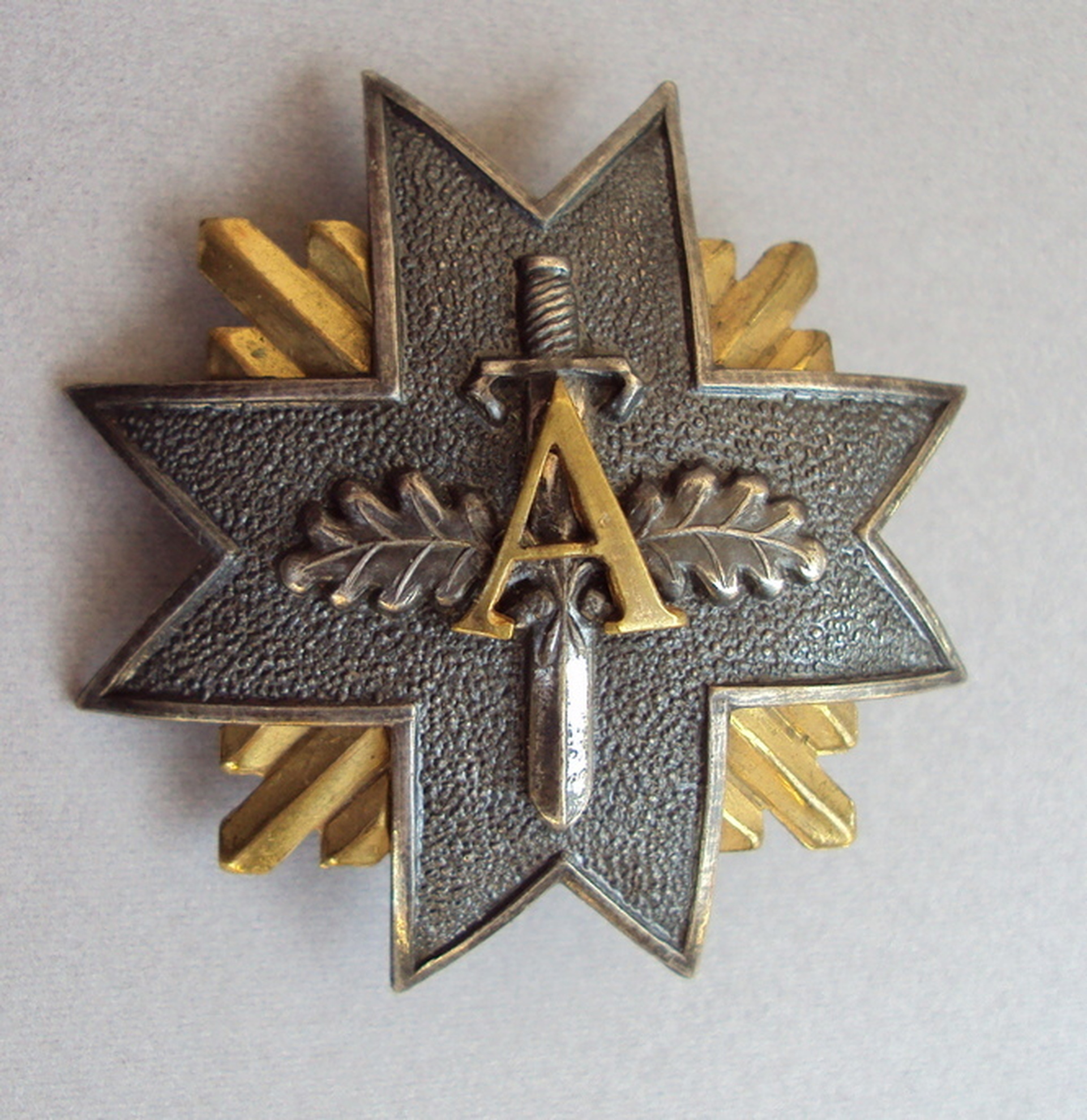 Latvian Aizsargi Badge